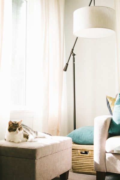 灰白相间的猫躺在沙发旁的棕色搁脚凳上，衣篮和落地灯在光线充足的房间里